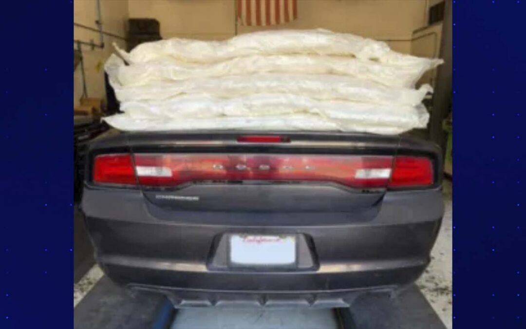 Incremento de Incautaciones de Droga en el Sector San Diego: La Lucha Contra el Tráfico de Narcóticos