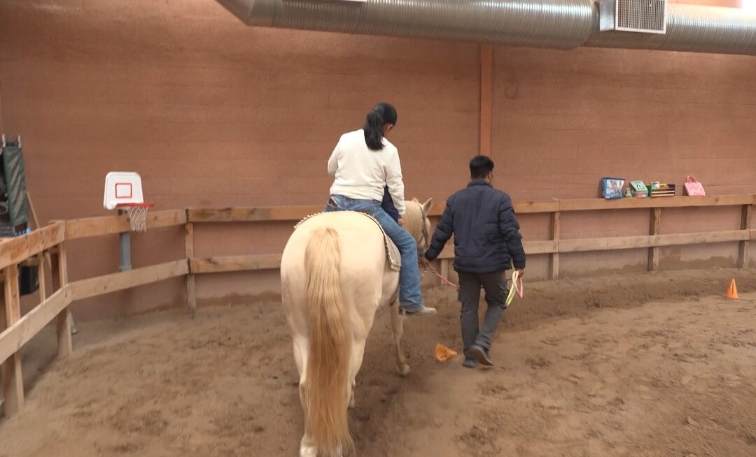 Terapia Equina en Ciudad Juárez: Un Refugio para Niños con Discapacidad