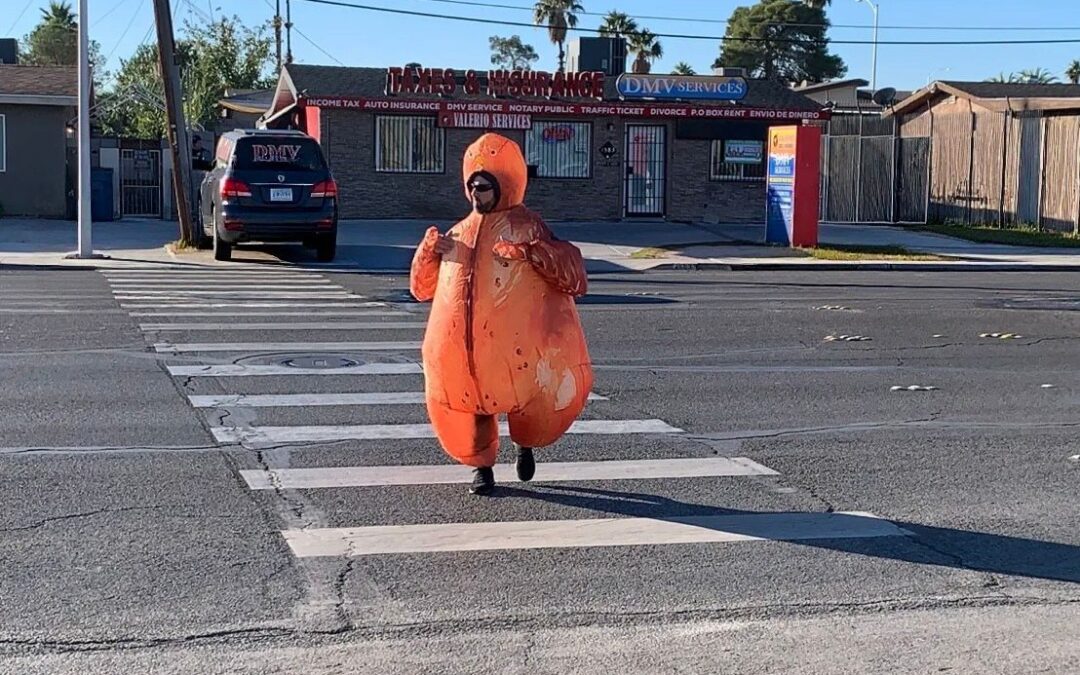 Operativo de Seguridad Vial con Pavo Resulta en 109 Multas en Cruce Peatonal