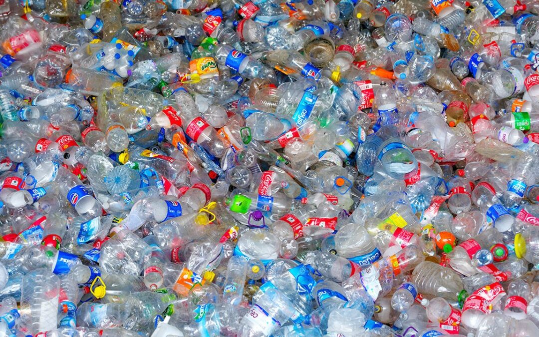 Recicladora Enfrenta Quejas