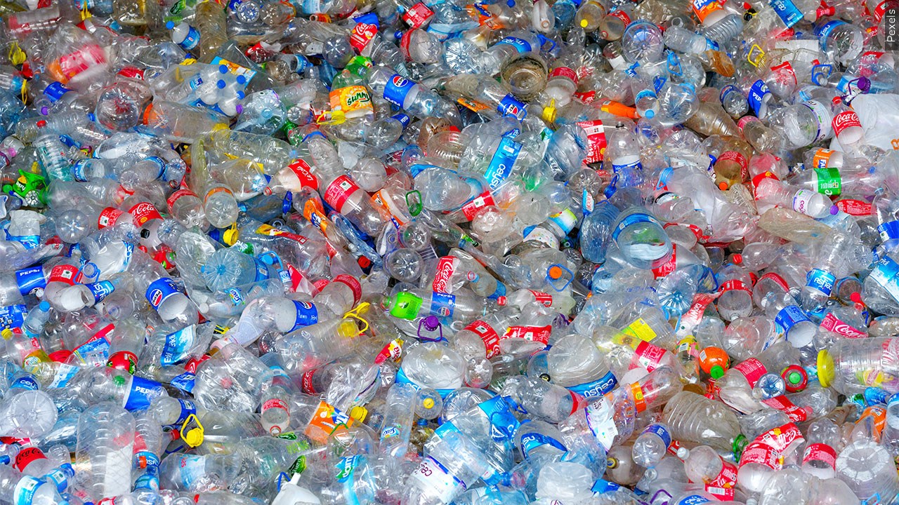 Acquired Through MGN Online on 09/04/2024