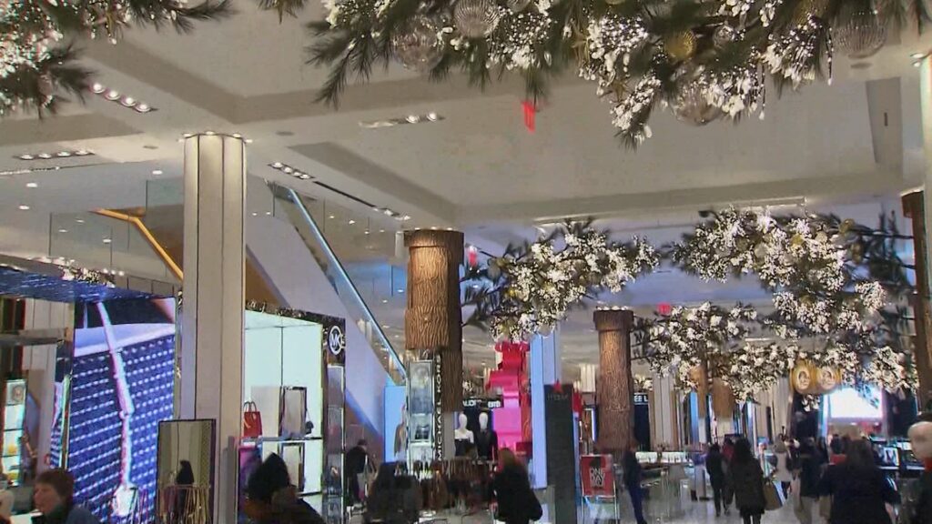 Prevención De Robos Durante Compras Navideñas: Consejos De La Policía Para Mantenerse Seguro