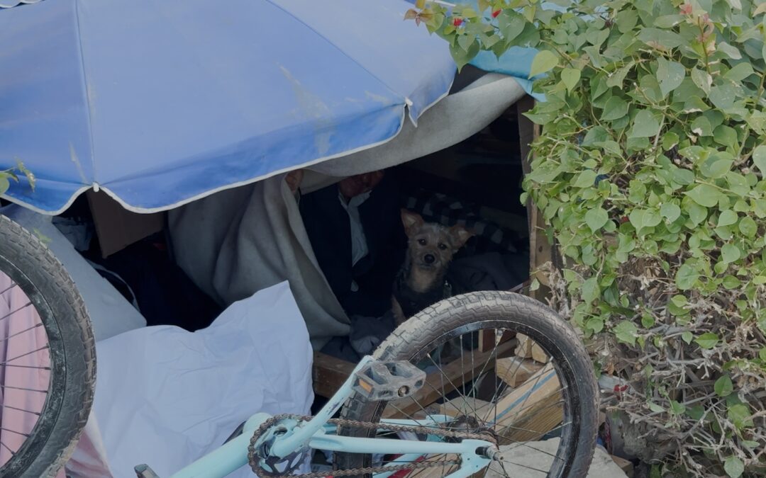 Repartición de comida para personas sin hogar: llevando esperanza a quienes más lo necesitan