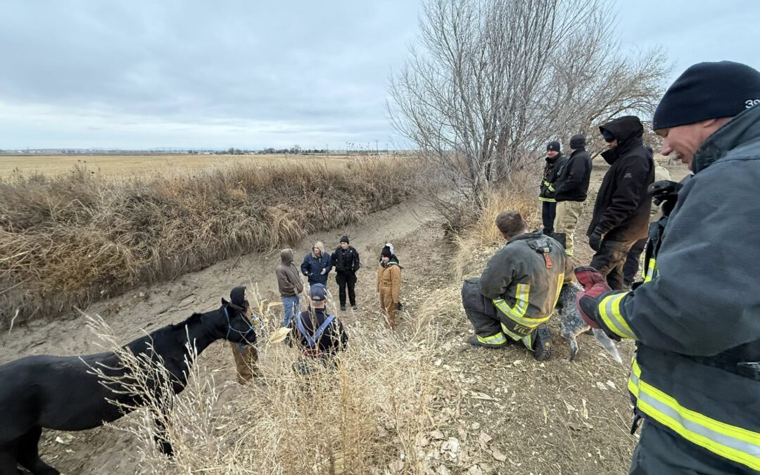 Rescate de Caballo en Condiciones Críticas de Frío Extremo