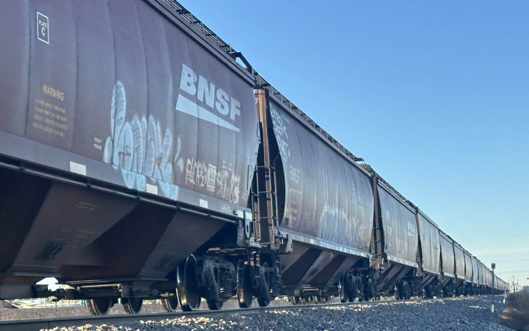 Hombre Fallecido Tras Atropello por un Tren en Las Cruces Identificado