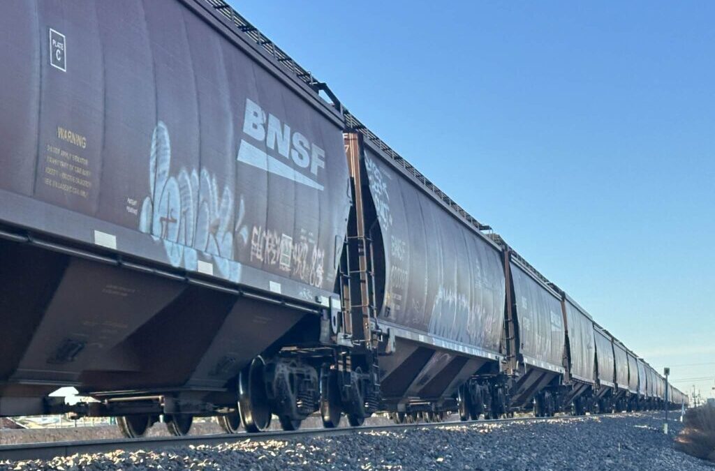 Tragedia en Las Cruces: Hombre Atropellado por un Tren Identificado como Manuel José Aguirre