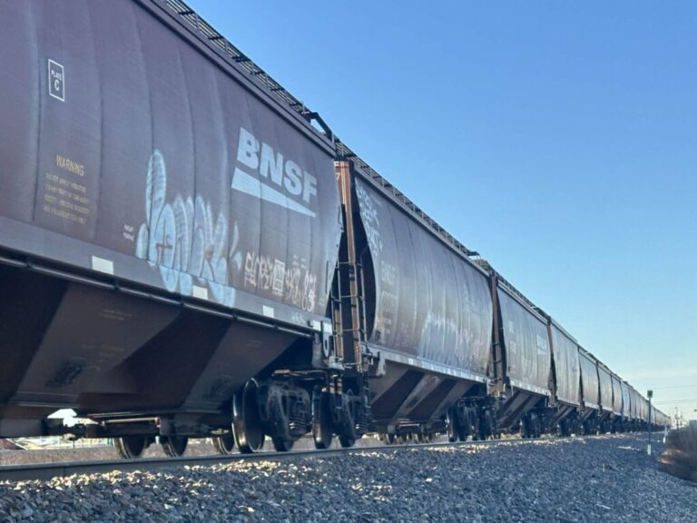 Tragedia en Las Cruces: Hombre Atropellado por un Tren Identificado como Manuel José Aguirre