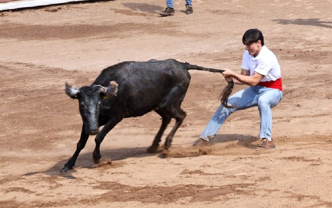 Bienestar Animal Exige Cancelación de Festejos con Maltrato en Puebla