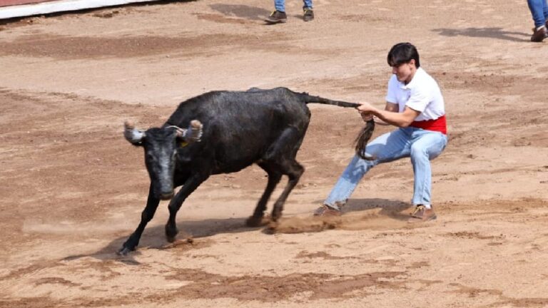 Bienestar Animal Exige Cancelación de Festejos con Maltrato en Puebla