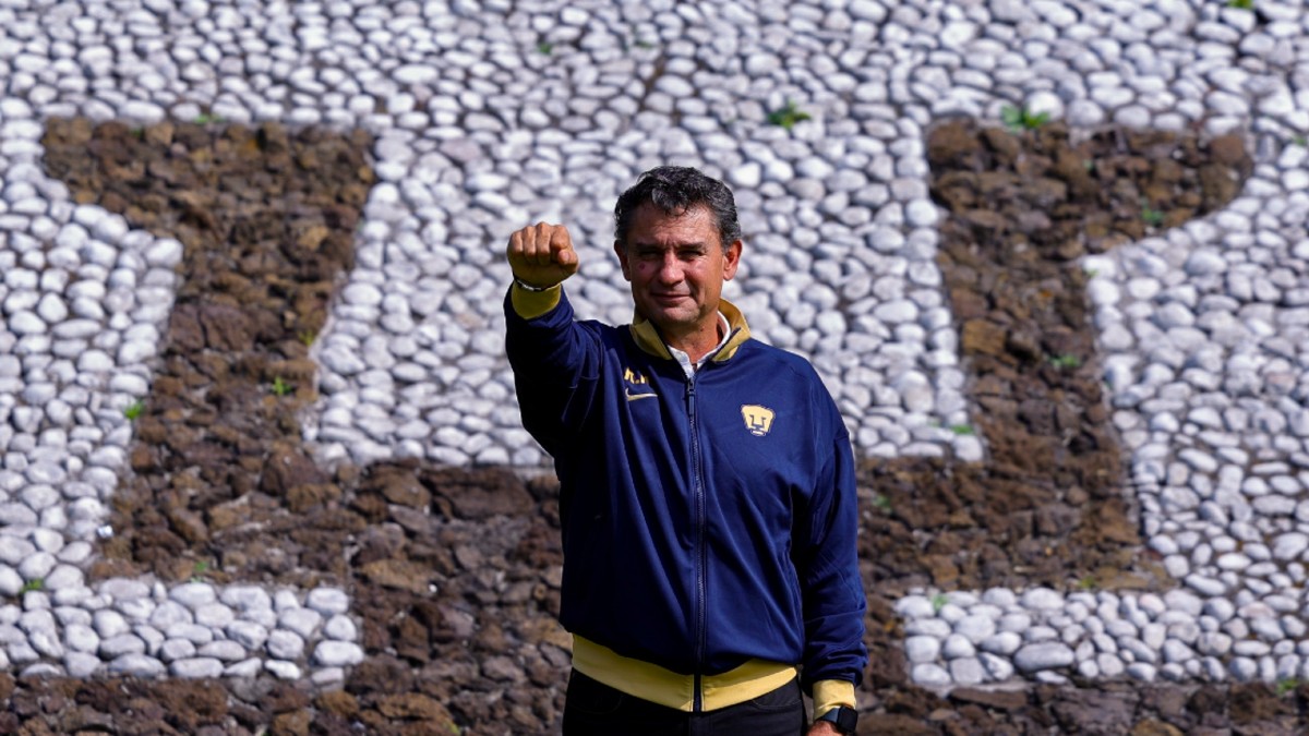 estratega-auriazul-prometio-impregnar-caracteristica