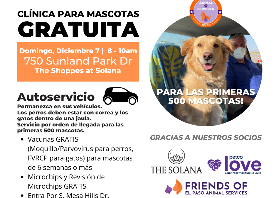 Última clínica gratuita de mascotas en El Paso: ¡Vacunas y microchips este diciembre!