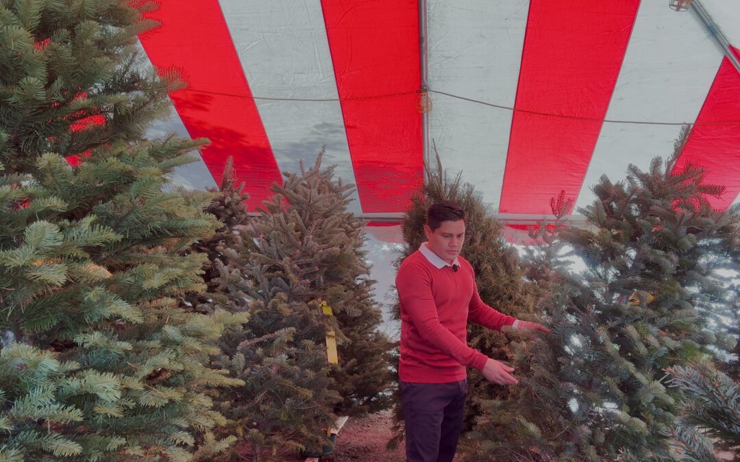 EL AUMENTO EN LOS PRECIOS NAVIDEÑOS AFECTA A LAS FAMILIAS EN ESTADOS UNIDOS