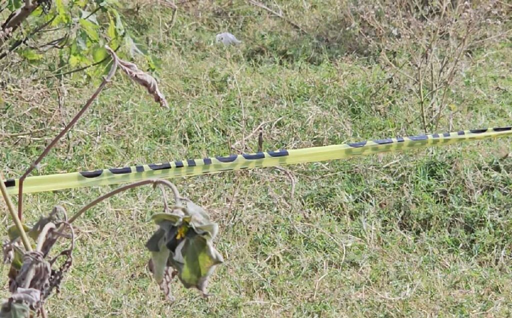 Descubren Restos Humanos En Fosa Clandestina De Tlajomulco: Continúa La Investigación