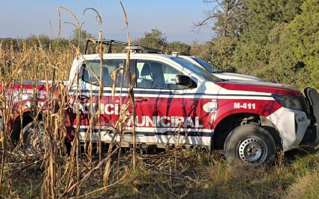Asesinato de seis hombres en Nopalucan: un grave incidente criminal en Puebla