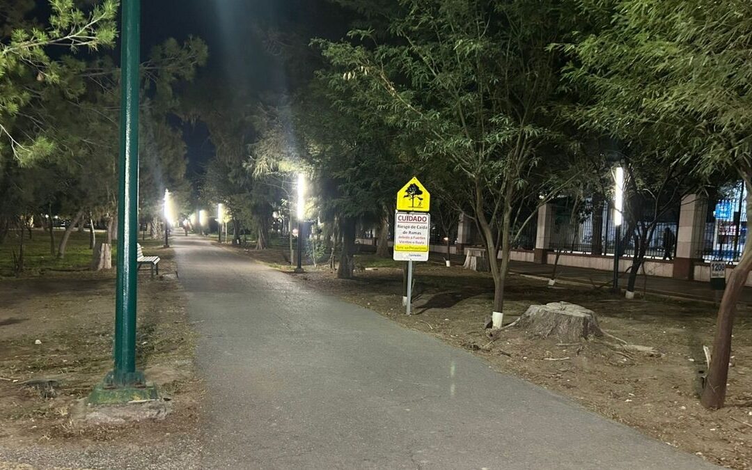 Seis Millones de Pesos para Mejorar el Bosque Venustiano Carranza