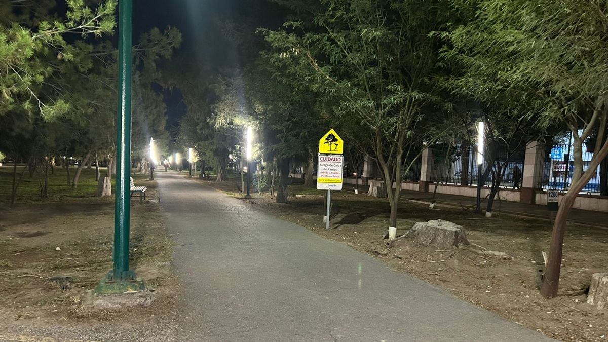 bosque-venustiano-carranza-noche-foto