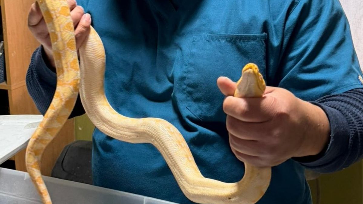 hombre-contaba-permisos-necesarios-contar