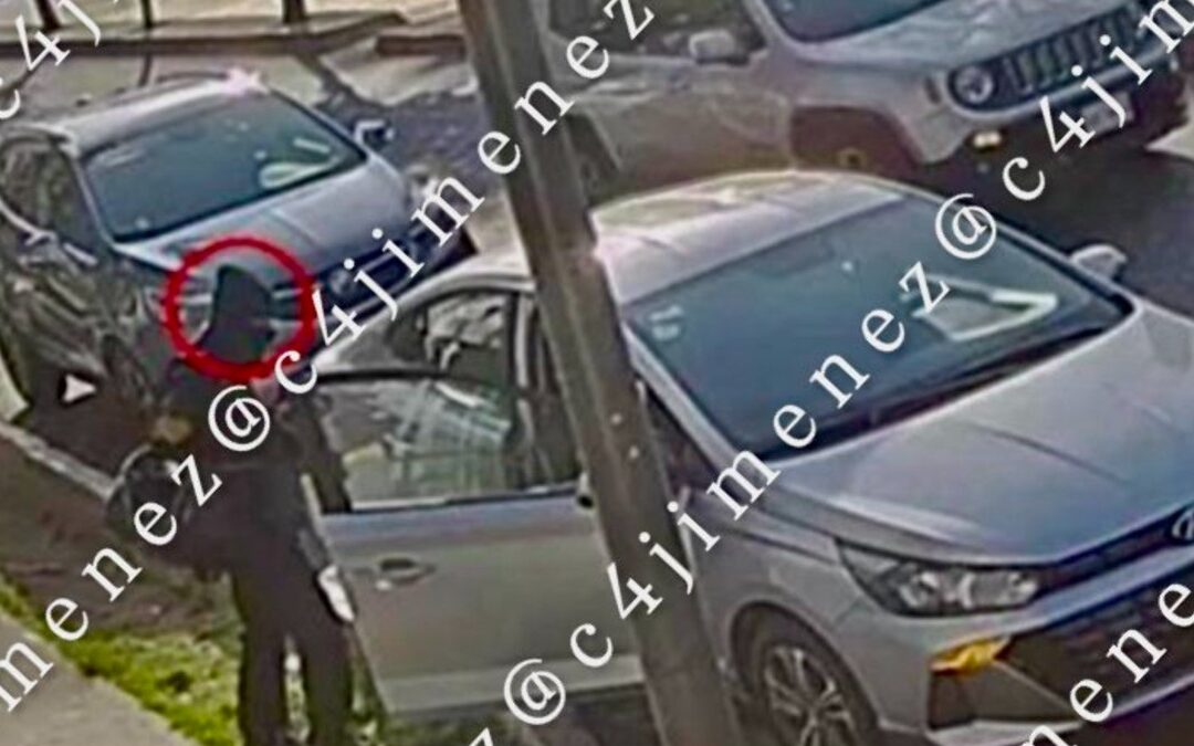 Las Noticias C4 En Alerta Más Importantes del 11 de Diciembre de 2025