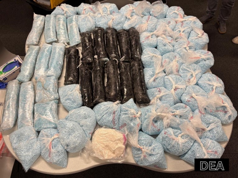 Carfentanil: La Droga Letal que Aumenta las Alarmas en Colorado