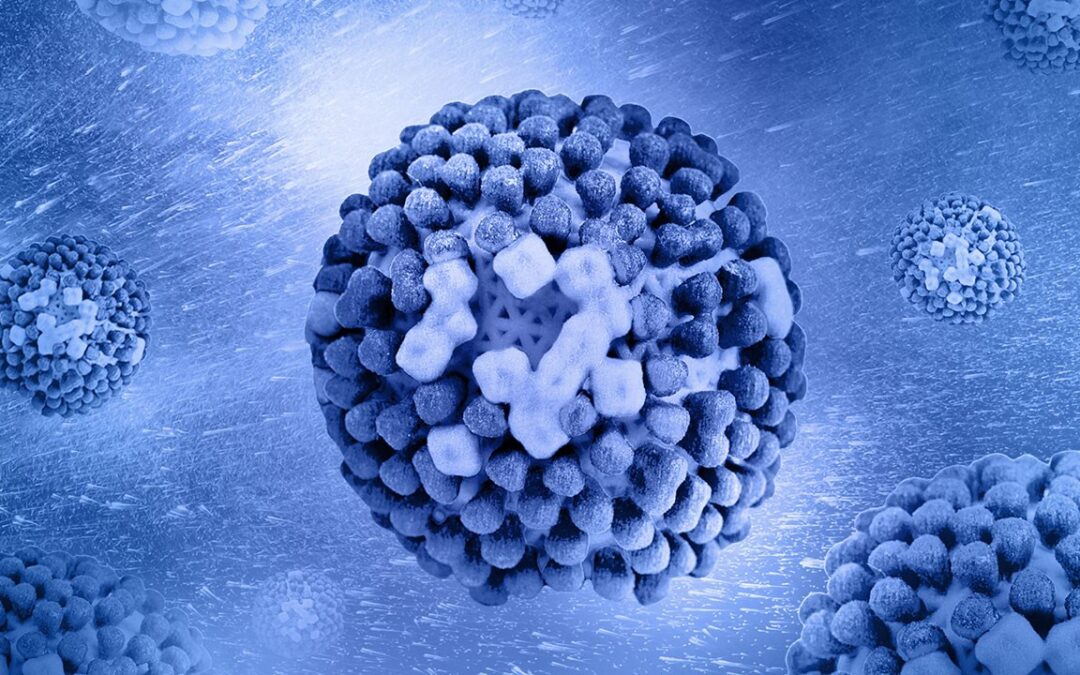 Prevención de Virus