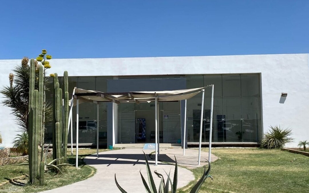 Olor a Putrefacción en Villa Nazareno de Lerdo: Causas y Reacciones