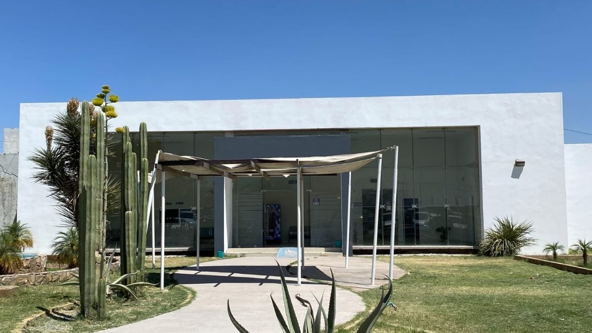 el-hombre-habria-tenido-ya