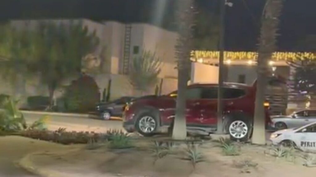 Accidente De Tránsito En Viñedos: Conductor Derriba Palma Y Abandona Su Camioneta