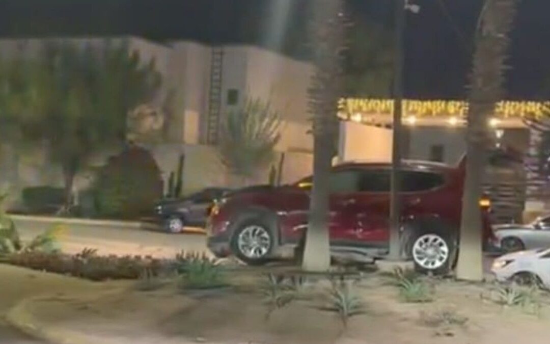 Accidente de Tránsito en Viñedos: Conductor Derriba Palma y Abandona su Camioneta