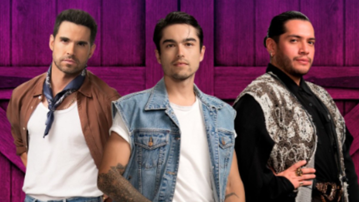 palabra-publico-votos-define-continua