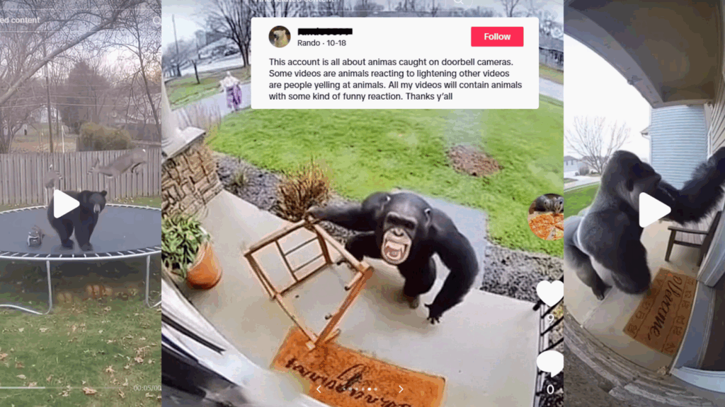 Zoológico del Condado de Sedgwick advierte sobre el peligro del contenido generado por IA