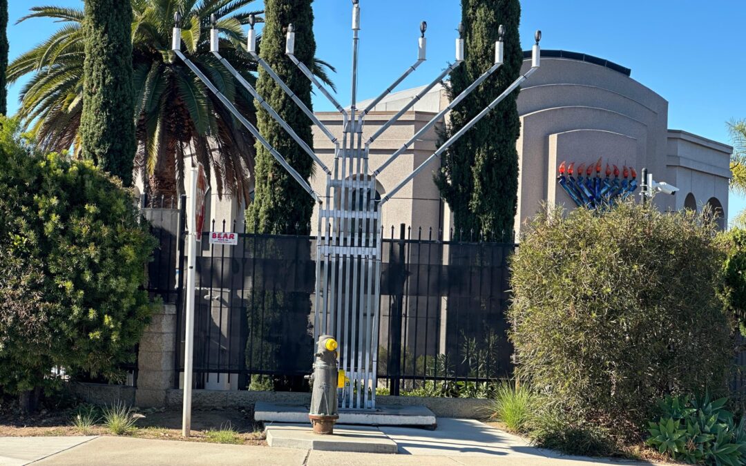 Masacre en Australia: El rabino Yisroel Goldstein reflexiona sobre el impacto en la comunidad judía de Poway