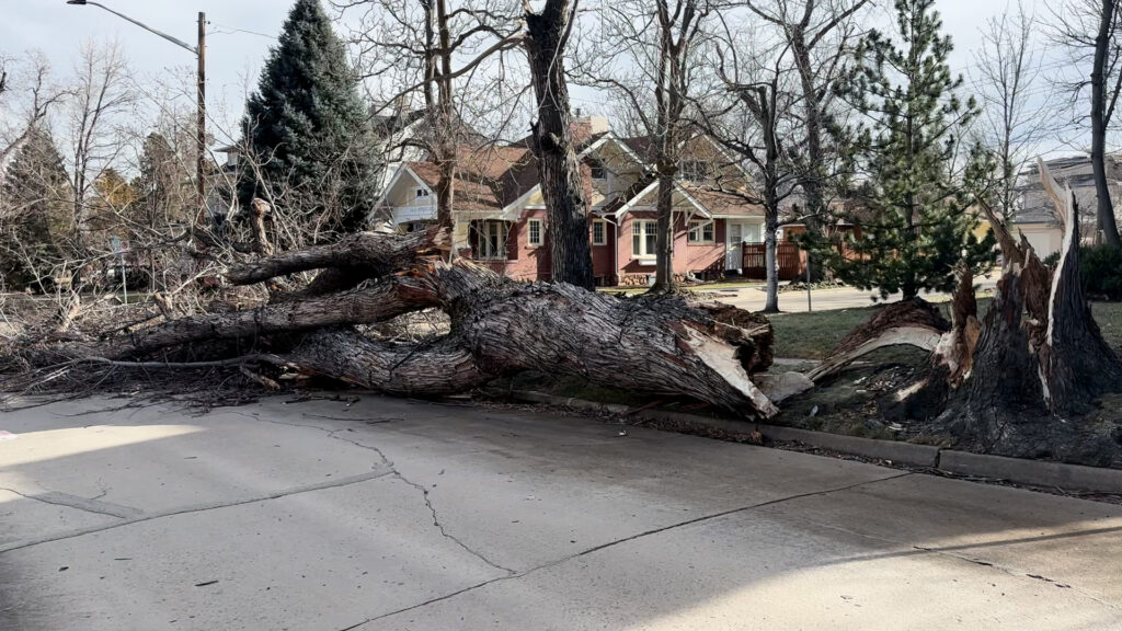 Vientos Fuertes En Colorado: Precauciones Y Seguridad Esenciales