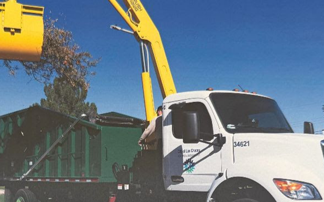 Horarios de Navidad y Año Nuevo en Las Cruces: Servicios y Cierres Importantes