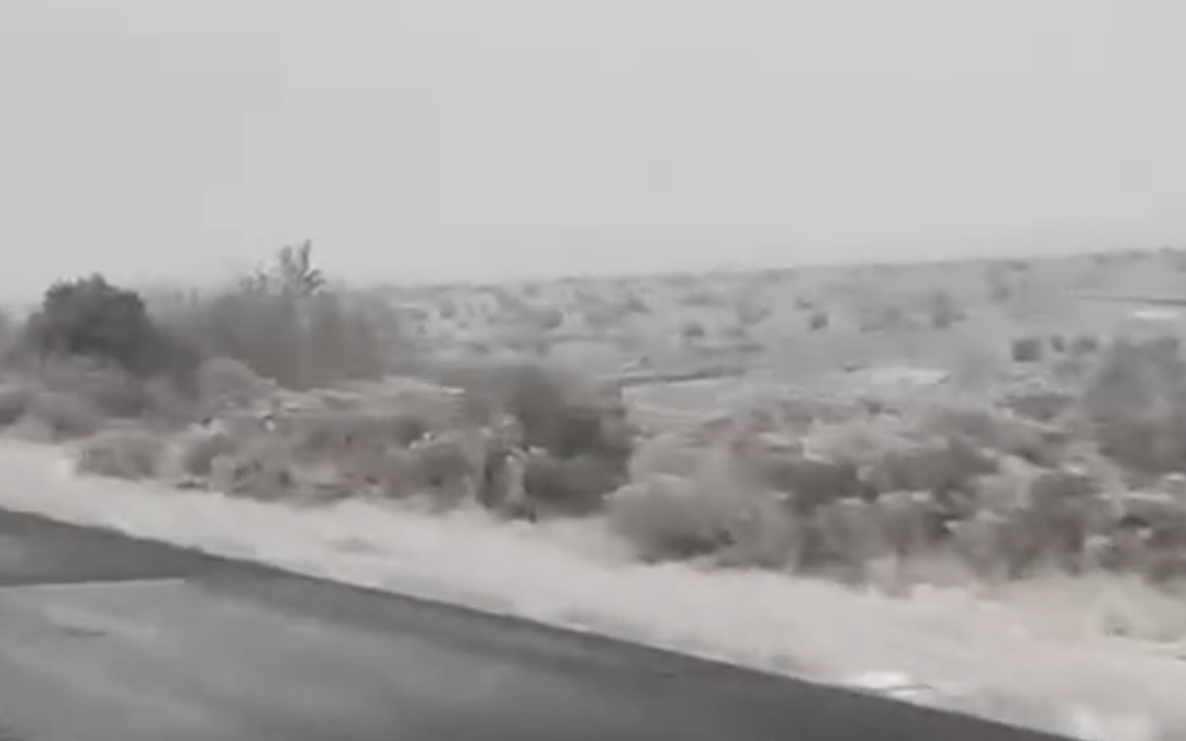 Retrasos Escolares y Cierres en Nuevo México Debido a Tormenta Invernal