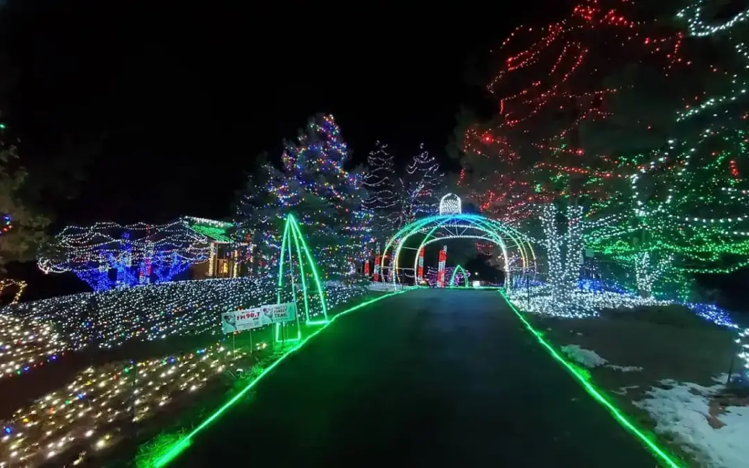 Festival de Luces en Franktown Cierra Anticipadamente por Multitudes Récord