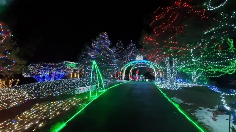Festival de Luces en Franktown Cierra Anticipadamente por Multitudes Récord