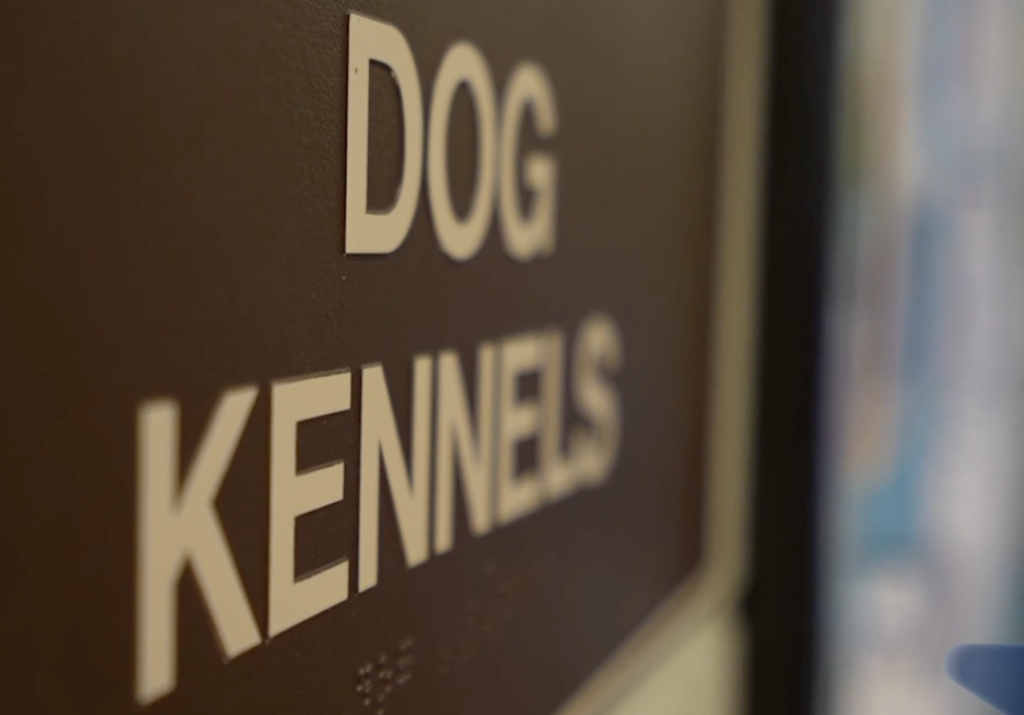 Palm Desert Da Un Paso Histórico Para Proteger A Los Animales - Palm Desert - Noticias Notivalle Palm Desert Da Un Paso Histórico Para Proteger A Los Animales