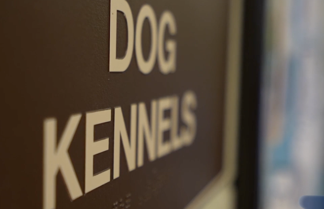 PALM DESERT DA UN PASO HISTÓRICO PARA PROTEGER A LOS ANIMALES