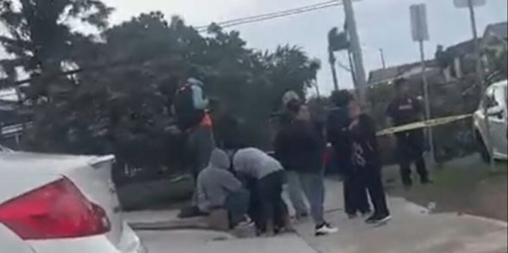 Muerte De Hombre En City Heights: Caída De Árbol Trágica En San Diego