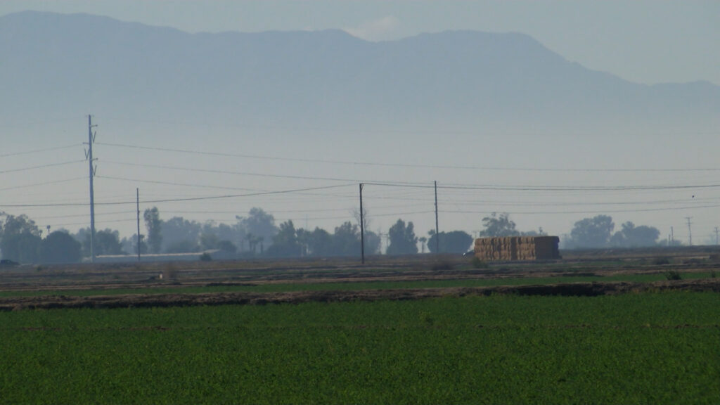 Evita Las Fogatas: Consejos Para Celebraciones De Fin De Año Sin Contaminación - Noticias Notivalle Evita Las Fogatas: Consejos Para Celebraciones De Fin De Año Sin Contaminación