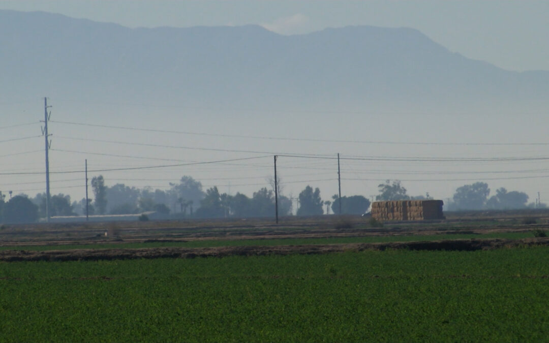 Evita las Fogatas: Consejos para Celebraciones de Fin de Año sin Contaminación