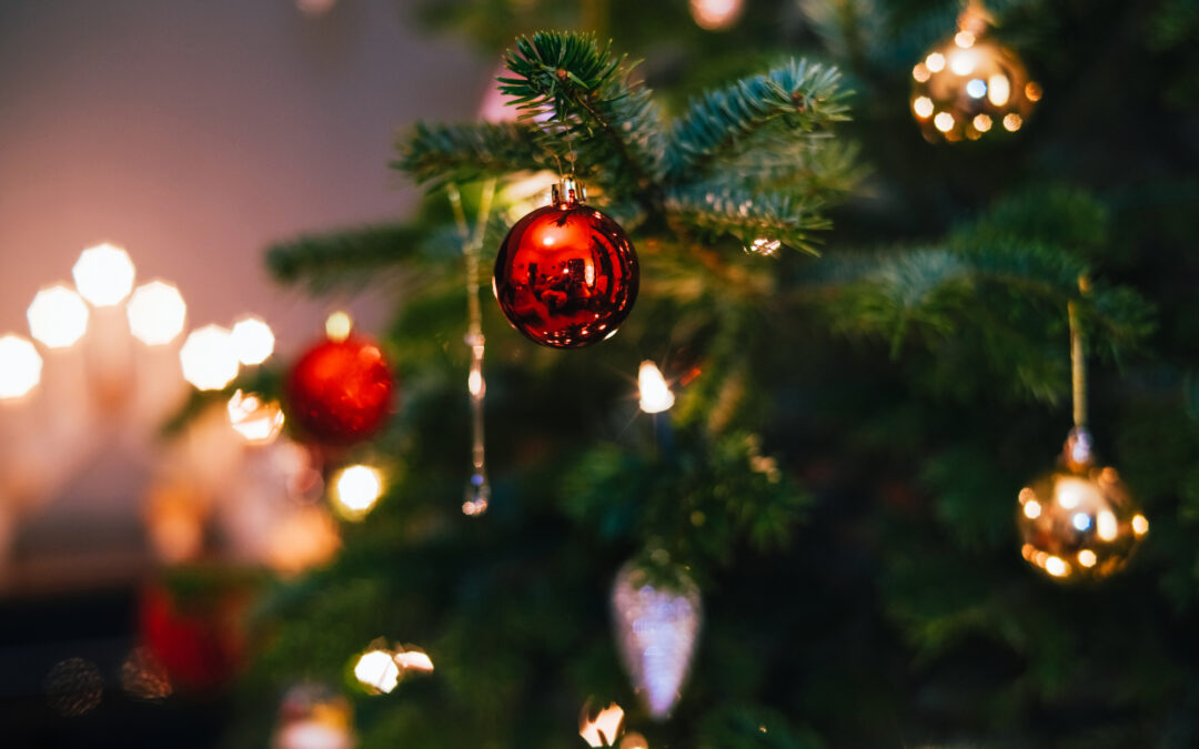 Reciclaje de Árboles de Navidad: El Programa TreeCycle Regresa a Denver