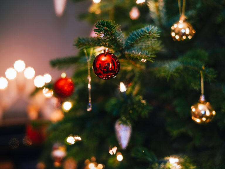 Reciclaje de Árboles de Navidad: El Programa TreeCycle Regresa a Denver