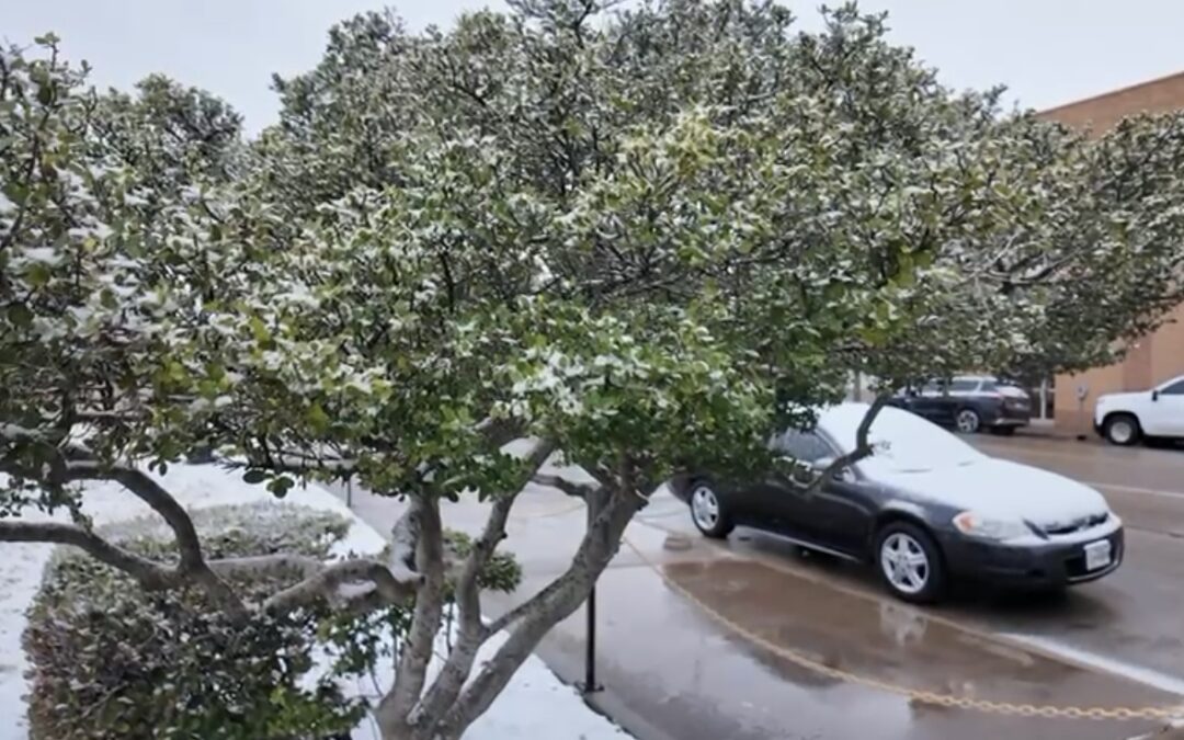Nieve en Permian Basin: Autoridades Piden Precauciones en las Carreteras