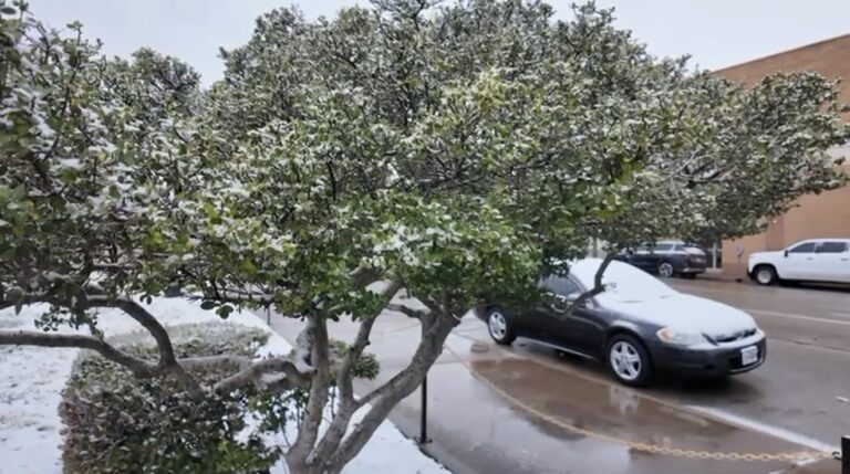 Nieve en Permian Basin: Autoridades Piden Precauciones en las Carreteras