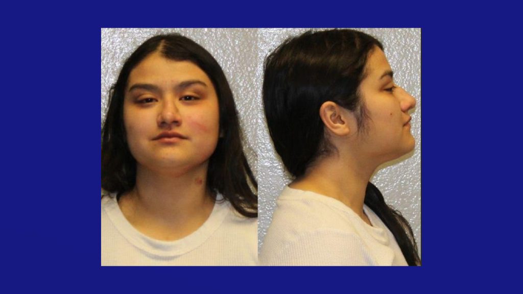 Conductora Identificada Tras Choque de Camioneta en Edinburg: Un Accidente Preocupante