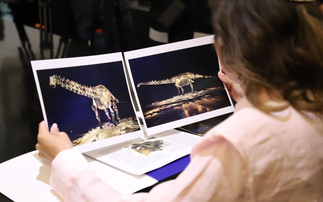 San Pedro Garza García Confirma que el Fósil ‘Einstein’ fue Prestado y No Donado