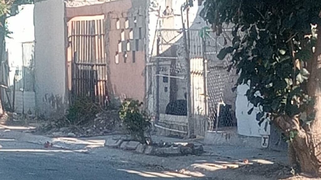 ¡Alerta En Quintas Los Nogales De Torreón Por Perros Agresivos Y Abandono De Espacios Públicos! - Noticias Notivalle ¡Alerta En Quintas Los Nogales De Torreón Por Perros Agresivos Y Abandono De Espacios Públicos!