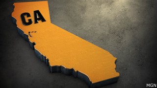 Nuevas Leyes Estatales