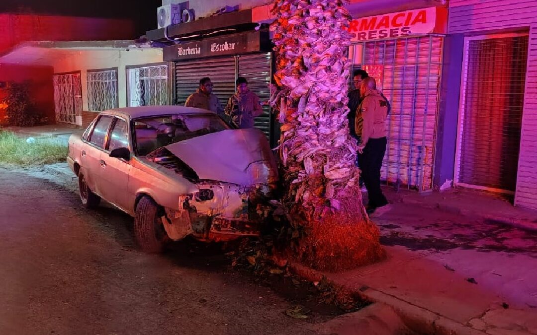 Accidente Automovilístico en Torreón: Menores de Edad Estrellan Vehículo Contra Palma y Resultan Heridos